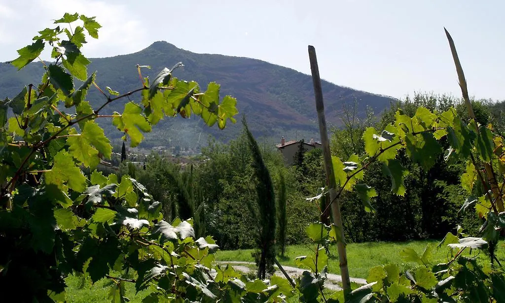 Bauernhof Villa Al Palazzaccio Calci