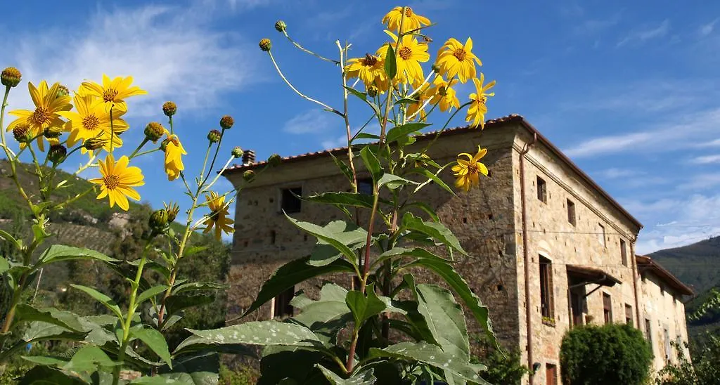 Al Palazzaccio Villa Calci